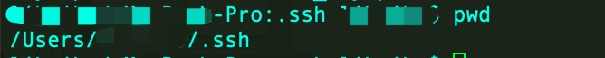 ssh